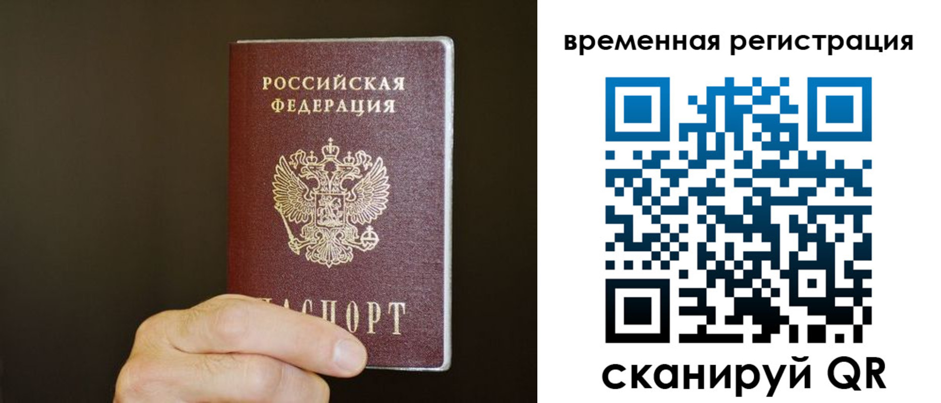 прописка гарантия в Талице